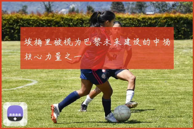 埃梅里被视为巴黎未来建设的中场核心力量之一