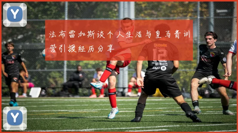 法布雷加斯谈个人生活与皇马青训营引援经历分享
